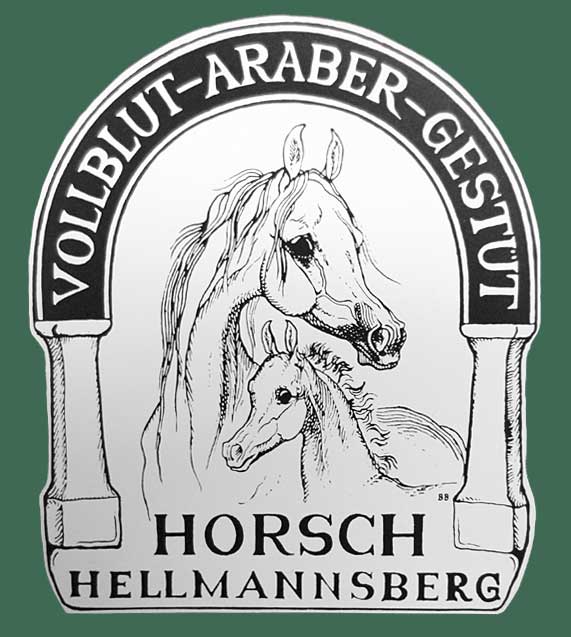 Das Arabergestüt Horsch Hellmannsberg stellt sich vor. Wohnen und Reiten im Aratell bei Ingolstadt